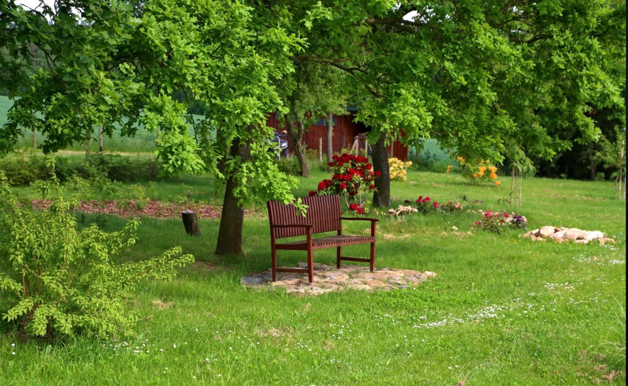 K9 Resort **** Zruc nad Sazavou Esterno foto